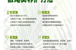 散尾葵叶子发黄的补救方法（解决散尾葵叶子发黄问题的有效措施）
