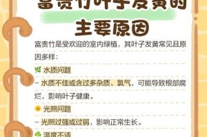 如何有效处理富贵竹叶子卷曲问题（富贵竹叶子卷曲原因和处理方法，让你的竹子更富贵）