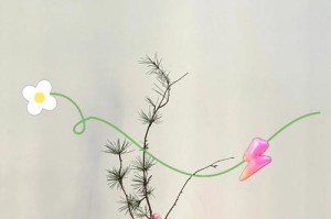茶梅修剪最佳时间（掌握时机，让茶梅更美丽）