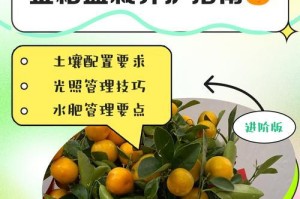 金桔树移栽叶子都掉了怎么办？（解决掉叶问题的方法及注意事项）