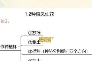 打造繁花盛开的花园之旅（以花仙子的花为灵感，学习如何培植美丽多彩的花朵）