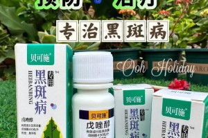 花叶长黑斑的治疗方法（有效清除黑斑，让花叶恢复健康）
