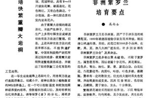 非洲紫罗兰的养护与繁殖（非洲紫罗兰好养吗？方法与要点你都知道了吗？）
