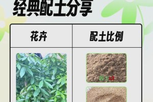 如何正确处理养花土（探索土壤处理技巧，让花儿茁壮成长）