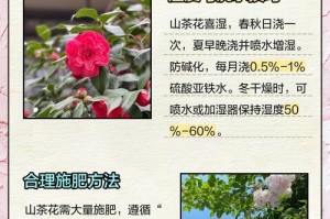 家里可以种山茶花吗？（如何在家里种植美丽的山茶花？）