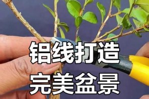 拆除盆景铝线的方法及注意事项（教你轻松拆除盆景中的铝线，保证不损坏植物和容器）