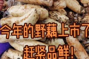 莲菜的生长季节及上市时间剖析（了解莲菜种植，掌握最佳采收时机）