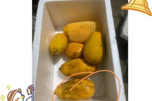 木瓜保存技巧大揭秘！（木瓜可以放多久不坏？如何保存？）