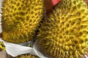 探寻世界榴莲之都（榴莲产地在哪里，哪里盛产最好吃的榴莲？）