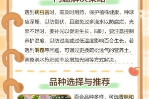 百合花施肥的技巧与方法（选择适合的肥料，让百合花健康生长）