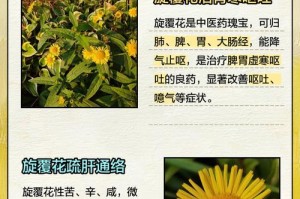 银旋花的养护指南（轻松打理，让银旋花持久绽放）