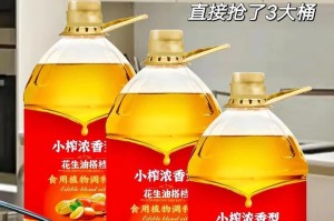 如何榨出美味的花生汁（搭配技巧和口感体验）