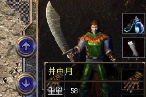 以肿节石斛盆栽种植方法（掌握关键步骤，打造美丽盆栽花园）