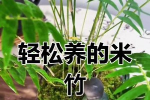 如何养护刚开始生长的竹子（竹子养护指南及技巧）