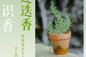 迷迭香种子的种植方法（从选种到成活，让你轻松掌握！）