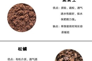 如何调配养花土壤？（掌握关键诀窍，打造理想花园）