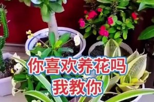 床上养植物，打造绿色天堂（让床成为你的花园，享受自然生活）