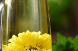 室内菊花冬季养护指南（打造温馨室内花园，让菊花在冬天绽放光彩）