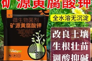 生化黄腐酸钾（探究生化黄腐酸钾对植物的作用及其应用前景）