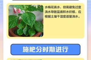 迷你梅花养护全攻略（打造迷你梅花园，尽享花开美景）