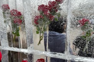 如何砌筑以花墙里种花的技巧（打造美丽花墙的关键步骤与方法）