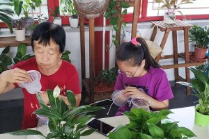 一帆风顺的移殖之旅（顺利迁徙的关键要素及成功案例研究）