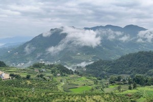 李子适合种植的地方（从土壤、气候、光照等多个角度来看）