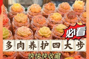 粉掌浇水过多导致烂根的处理方法（如何修复烂根及防止粉掌受损）
