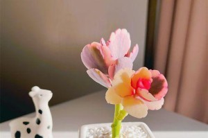 以玉吊钟多肉的种植技巧和养护方法（打造迷人的玉吊钟多肉家园）