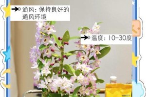 铁皮石斛插枝繁殖（插枝能否成活及其关键因素）