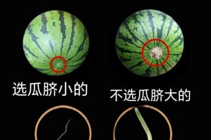 如何挑选香甜多汁的西瓜（掌握这些技巧，每次都能挑选到最好的西瓜）