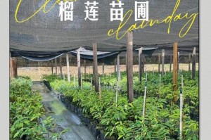 榴莲生长全过程剖析（从萌芽到成熟，一颗榴莲的生命历程）
