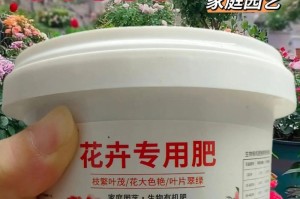 花盆施肥之技巧与注意事项（掌握正确的施肥方式，让花盆中的植物茁壮成长）