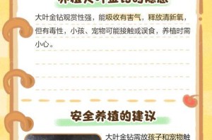 大叶金钻叶子裂开怎么办（有效方法和预防措施，保护您的大叶金钻）