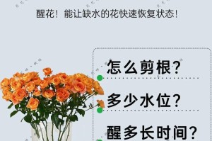 花卉复活的奇迹（探索花卉复苏的神奇力量，揭示救活凋谢花朵的窍门）