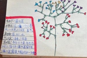 满天星养殖全攻略（家庭养殖的好方法）