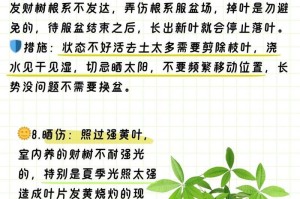 冬天玉兰花叶子发黄的原因及解决方法（玉兰花叶子发黄，如何保持其健康状况？）
