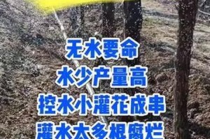 如何正确地给葡萄浇水（掌握葡萄浇水的技巧，帮助葡萄生长）