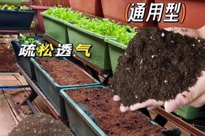 如何培养适合养花的土壤（探索土壤的重要性，为花卉生长创造理想环境）