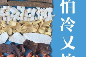 探究铁皮石斛的温度喜好（冷热适宜，营养更佳）