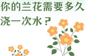 水兰花，绽放生机（以水浇灌，见证兰花的奇迹）