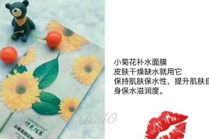 插水技巧与维持菊花长久鲜艳的方法（菊花插水的关键是什么？如何让菊花绽放更久？）