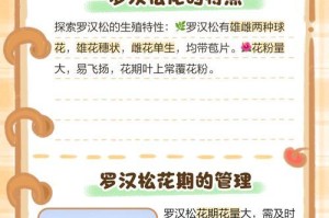罗汉松开花，漫天花海（探究罗汉松的神奇开花，欣赏罗汉松花海美景）
