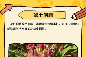 烂根兰花怎么救治（养护技巧及修复方法）