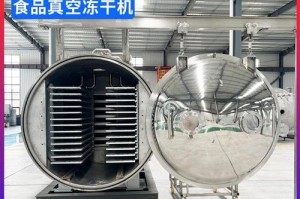 铁皮石斛的生长环境（了解铁皮石斛的生态习性，做好保护工作）