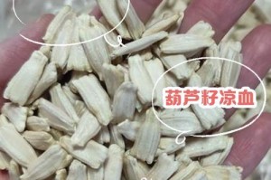 葫芦种子的最佳种植时间（掌握时间，让葫芦生长更旺盛）