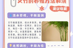 文竹绿萝养殖方法详解（一步步教你如何成功养殖文竹绿萝）
