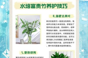 转运竹栽培指南（如何成功栽培转运竹）