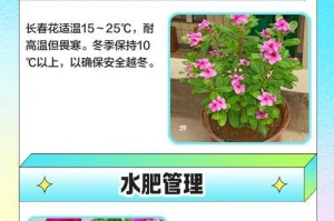 长春花换土必知的时间和方法（让你的长春花更健康）