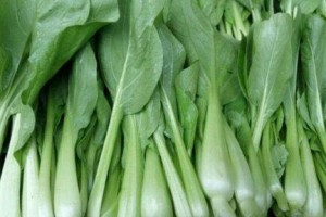 瓢儿菜——家庭必备蔬菜（一种香嫩爽口的叶菜，又名什么？）